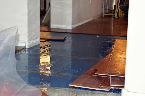 Professional Water Extraction technician working in Towson, MD